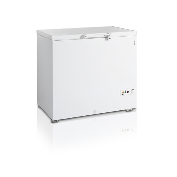 Морозильні ларі TEFCOLD FR305 SL
