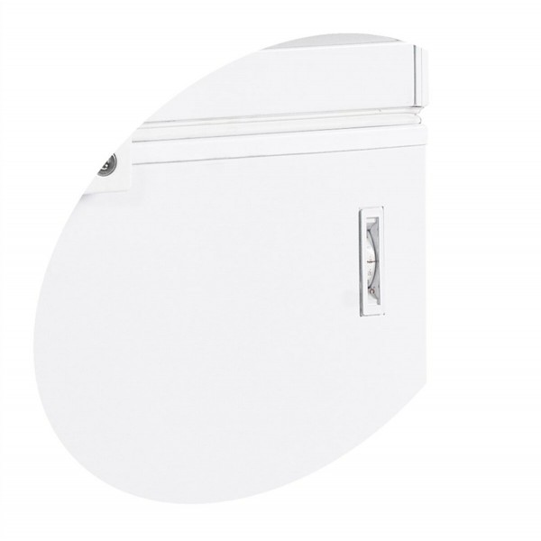 Морозильні ларі TEFCOLD FR405S SL