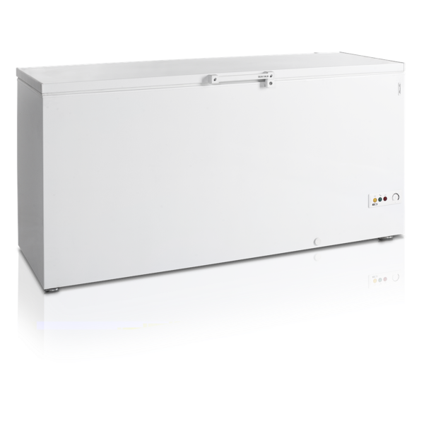 Морозильні ларі TEFCOLD FR605 SL