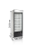 Морозильні шафи TEFCOLD NF2500G