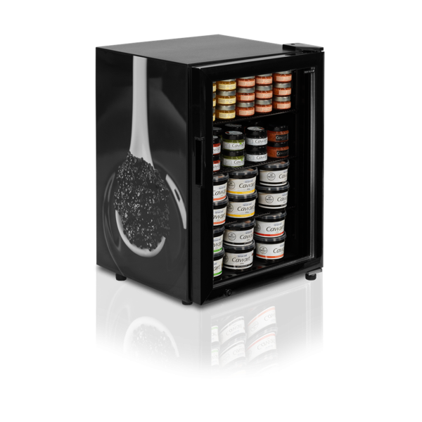 Морозильні шафи TEFCOLD UR90G-SUB ZERO